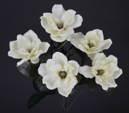 Product: House of Silk Flowers Artificial 21-inch Cream Magnolia Bush (6 Bushes)