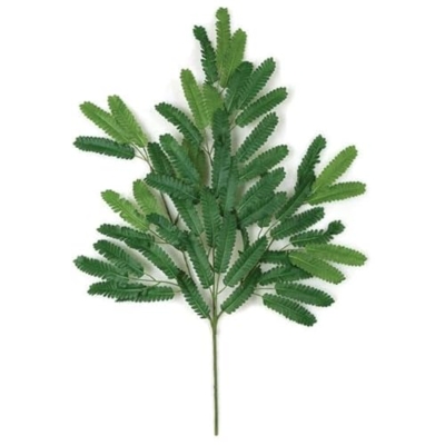 Product: SilksAreForever 27" Artificial Mimosa Branch Stem -Green (Pack of 24)