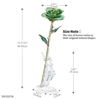 Silky Flower Store 24K Gold Plated Real Rose Gift for Her, Green with Stand, Deluxe Box, Certificate of Authenticity, 24cm 9 9 Product: MAXSPT Gift for her Rose, 24k Golden Rose Made from Real Rose Great Gifts for her and Best Gifts for Wife, Green with Stand