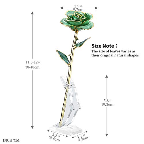 Silky Flower Store 24K Gold Plated Real Rose Gift for Her, Green with Stand, Deluxe Box, Certificate of Authenticity, 24cm 3 3 Product: MAXSPT Gift for her Rose, 24k Golden Rose Made from Real Rose Great Gifts for her and Best Gifts for Wife, Green with Stand