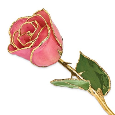 Product: Allmygold 11" 24K Gold Dipped Real Rose (Pink)