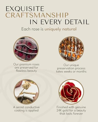 Product: Forever Rose Real Red Rose Dipped in 24K Gold with Gold-Trimmed Petals and Stem, Handcrafted Preserved Rose in Luxury Gift Box, Romantic Gift for Her