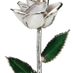Product: Allmygold 11" Snow White Platinum Dipped Real Rose