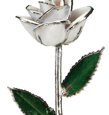 Product: Allmygold 11" Snow White Platinum Dipped Real Rose