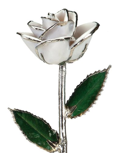 Product: Allmygold 11" Snow White Platinum Dipped Real Rose