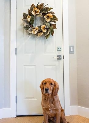 Product: Admired By Nature 24" Magnolia Pine for Home Office Front Door Wreath, Wall Hanging Arrangement Decoration