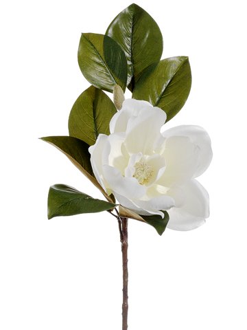 Arcadia Silk Plantation 34" Magnolia Spray White (pack of 12) - Artificial Flower Arrangements Product: Arcadia Silk Plantation 34" Magnolia Spray White (pack of 12)