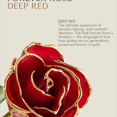 Product: Forever Rose Real Red Rose Dipped in 24K Gold with Gold-Trimmed Petals and Stem, Handcrafted Preserved Rose in Luxury Gift Box, Romantic Gift for Her