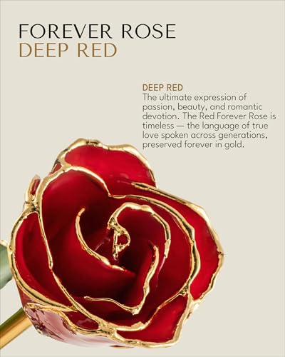 Product: Forever Rose Real Red Rose Dipped in 24K Gold with Gold-Trimmed Petals and Stem, Handcrafted Preserved Rose in Luxury Gift Box, Romantic Gift for Her