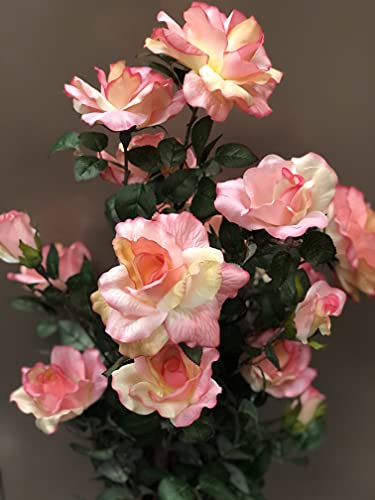 Product: AMERIQUE 4.3 Motley Gorgeous & Unique Feet Artificial Silk Rose Tree with 18 Flowers, Feel Real Technology