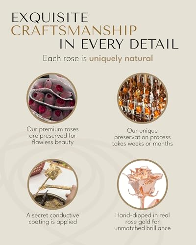 Product: Forever Rose Real Rose Dipped in Rose Gold, Handcrafted Preserved Rose in Luxury Gold Gift Box, Romantic Gift for Her, Elegant Keepsake for Anniversary, Birthday, or Any Special Occasion