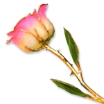 Product: Allmygold 11" 24K Gold Dipped Real Rose (White Pink)