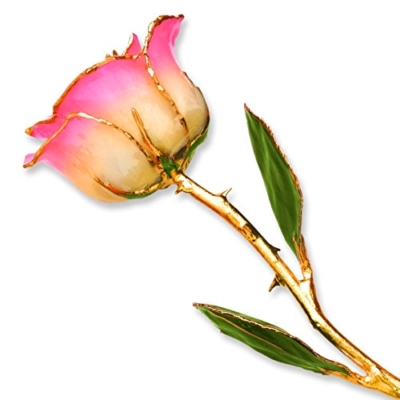 Product: Allmygold 11" 24K Gold Dipped Real Rose (White Pink)