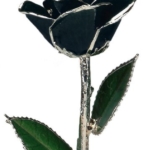 Product: Allmygold 11" Black Platinum Dipped Real Rose
