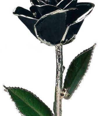 Product: Allmygold 11" Black Platinum Dipped Real Rose