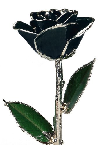 Allmygold 11" Black Platinum Dipped Real Rose - Artificial Flower Arrangements Product: Allmygold 11" Black Platinum Dipped Real Rose