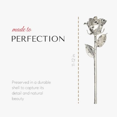 Product: Forever Rose Real Rose Dipped in Silver, Handcrafted Preserved Rose in Luxury Gold Gift Box, Romantic Gift for Her, Elegant Keepsake for Anniversary, Birthday, or Any Special Occasion