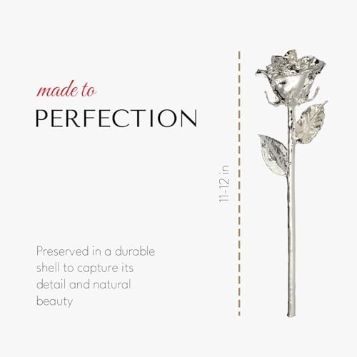 Product: Forever Rose Real Rose Dipped in Silver, Handcrafted Preserved Rose in Luxury Gold Gift Box, Romantic Gift for Her, Elegant Keepsake for Anniversary, Birthday, or Any Special Occasion