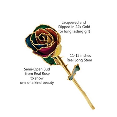 Silky Flower Store Preserved Real Rose 24K Gold Trim Gift Box, Long Stem Rainbow Rose Decorative Keepsake, 11-12in 13 13 Product: Long Stem Dipped 24K Gold Trim Rainbow Genuine Rose in Gift Box- El tallo Largo sumergió 24K Gold Trim Rainbow Rose genuina en caja de Regalo