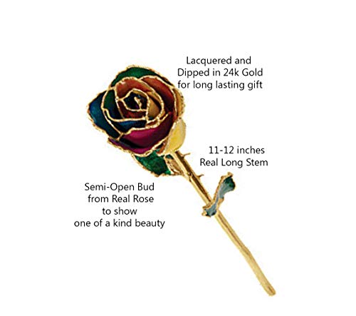 Silky Flower Store Preserved Real Rose 24K Gold Trim Gift Box, Long Stem Rainbow Rose Decorative Keepsake, 11-12in 4 4 Product: Long Stem Dipped 24K Gold Trim Rainbow Genuine Rose in Gift Box- El tallo Largo sumergió 24K Gold Trim Rainbow Rose genuina en caja de Regalo