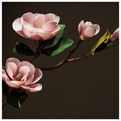 Silky Flower Store Artificial Magnolia Flower Vase Set, Living Room Tabletop Decor, Porch Bouquet, Low Maintenance Faux Floral Arrangement 20.5cm 10 10 Product: YYDS Vase Set Living Room Magnolia Artificial Flower Decoration Tea Table Porch Decorative Floral Ornaments Table Silk Flower Dried Bouquet Artificial Flowers