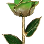 Product: 24k Gold Rose - Real Rose Dipped in Gold (2-Tone Light Green)