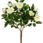 Product: 10" Mini Rose Bush x3 Cream (Pack of 36)