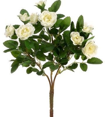 Product: 10" Mini Rose Bush x3 Cream (Pack of 36)