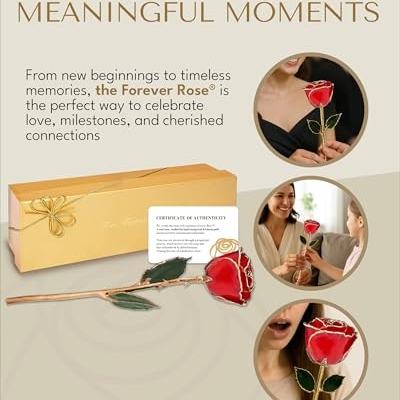 Product: Forever Rose Real Red Rose Dipped in 24K Gold with Gold-Trimmed Petals and Stem, Handcrafted Preserved Rose in Luxury Gift Box, Romantic Gift for Her