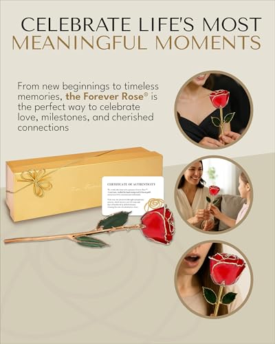 Product: Forever Rose Real Red Rose Dipped in 24K Gold with Gold-Trimmed Petals and Stem, Handcrafted Preserved Rose in Luxury Gift Box, Romantic Gift for Her