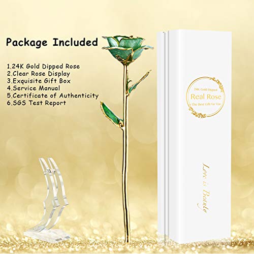 Silky Flower Store 24K Gold Plated Real Rose Gift for Her, Green with Stand, Deluxe Box, Certificate of Authenticity, 24cm 5 5 Product: MAXSPT Gift for her Rose, 24k Golden Rose Made from Real Rose Great Gifts for her and Best Gifts for Wife, Green with Stand