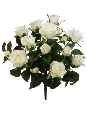 Arcadia Silk Plantation 15.5" Rose Bush x7 White (pack of 12) - Artificial Flower Arrangements Product: Arcadia Silk Plantation 15.5" Rose Bush x7 White (pack of 12)