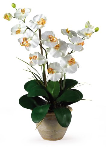 Double Stem Phalaenopsis Silk Orchid Arrangement - Artificial Flower Arrangements Product: Double Stem Phalaenopsis Silk Orchid Arrangement