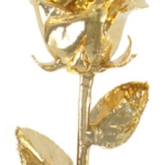 Product: Living Gold Real Rose Dipped in 24k Gold - Venus Rose (12" Open Bud)