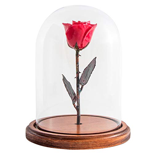 Product: Forever Rose Enchanted Red Preserved Rose | Hand Dipped Rose in Lacquer with A Copper Stem, in A Glass Dome | Inspired by Beauty and The Beast Flower | Romantic Gifts for Women