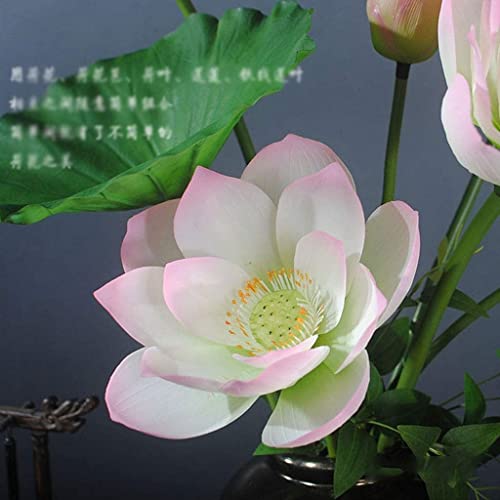 Product: Artificial Flower Bouquet Fake Flowers Artificial Flowers, Fake Lotus Silk Flowers Decor Realistic Flower Arrangements Table Centerpieces Decoration Faux Flowers Floral (Color : A)