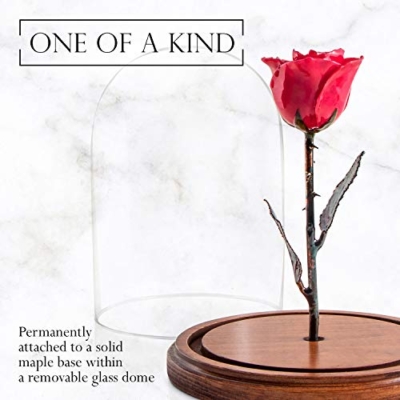 Product: Forever Rose Enchanted Red Preserved Rose | Hand Dipped Rose in Lacquer with A Copper Stem, in A Glass Dome | Inspired by Beauty and The Beast Flower | Romantic Gifts for Women