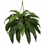 Product: ONE 7.5' Artificial Bamboo Tree X 5 with 1 Shoot , with No Pot,