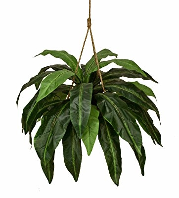 Product: ONE 7.5' Artificial Bamboo Tree X 5 with 1 Shoot , with No Pot,