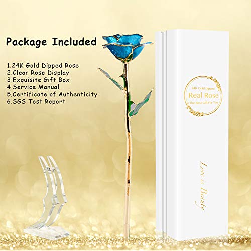 Product: MAXSPT Romantic Rose Gift for her,Eternity Gold Rose Flower 24k Gold Dipped Rose and Romantic Gift for her Rose,SkyBlue with Stand