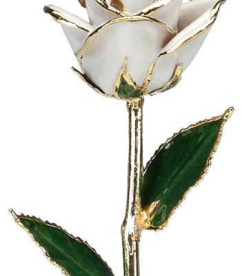 Product: 24k Gold Rose - Real Rose Dipped in Gold (Snow White)