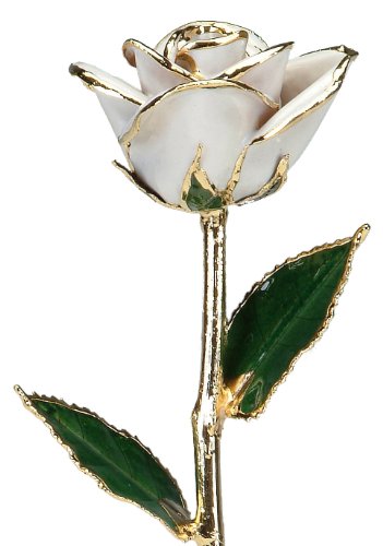 24k Gold Rose - Real Rose Dipped in Gold (Snow White) - Artificial Flower Arrangements Product: 24k Gold Rose - Real Rose Dipped in Gold (Snow White)
