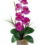 Product: Nearly Natural Phalaenopsis Silk Orchid Flower Arrangement