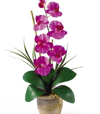 Product: Nearly Natural Phalaenopsis Silk Orchid Flower Arrangement
