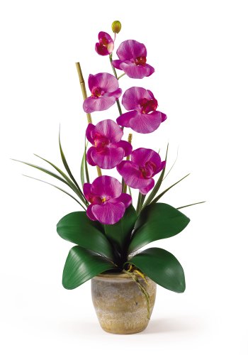 Product: Nearly Natural Phalaenopsis Silk Orchid Flower Arrangement