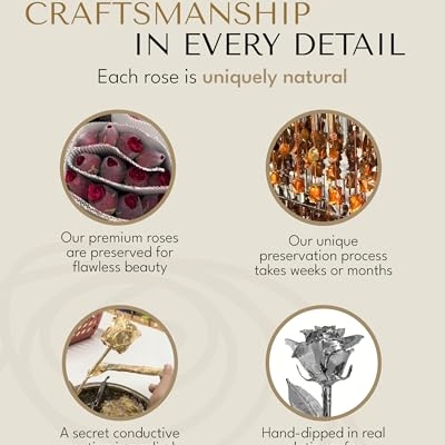 Product: Forever Rose Real Rose Dipped in Platinum, Handcrafted Preserved Rose in Luxury Gold Gift Box, Romantic Gift for Her, Elegant Keepsake for Anniversary, Birthday, or Any Special Occasion