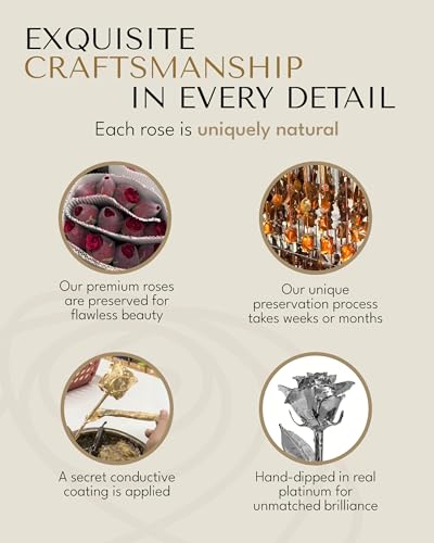 Product: Forever Rose Real Rose Dipped in Platinum, Handcrafted Preserved Rose in Luxury Gold Gift Box, Romantic Gift for Her, Elegant Keepsake for Anniversary, Birthday, or Any Special Occasion