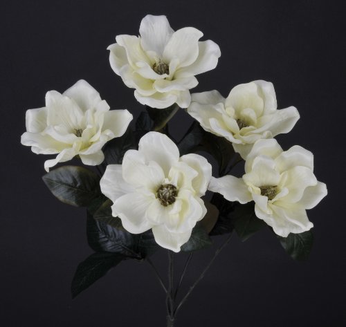 Product: House of Silk Flowers Artificial 21-inch Cream Magnolia Bush (6 Bushes)