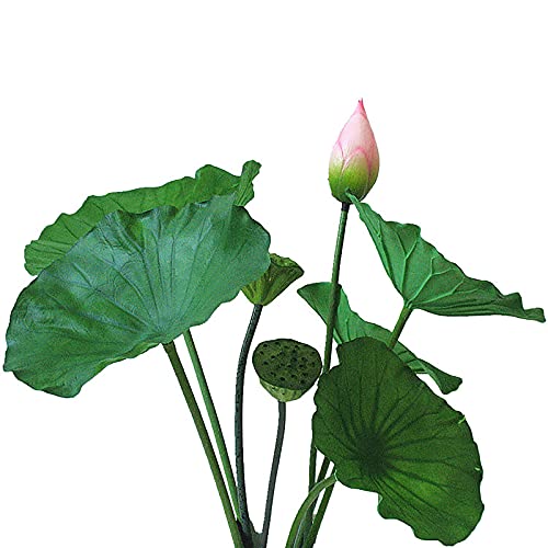 Product: ALXFFBN 8pcs Artificial Lotus Stem Faux Lotus Flower Artificial Bud Flowers for Garden Koi Fish Pond Aquarium Pool Wedding Decor, 2 Lotus Flower + 2 Lotus Bud + 2 Lotus Pods + 2 Lotus Leaves