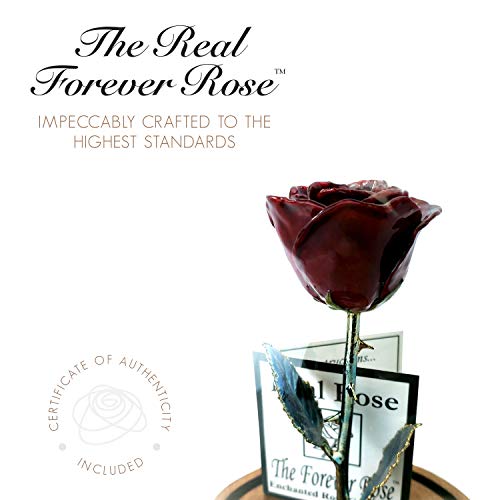 Product: Forever Rose Enchanted Burgundy Preserved Rose | Hand Dipped Rose in Lacquer with A Copper Stem, in A Glass Dome | Inspired by Beauty and The Beast Flower | Romantic Gifts for Women